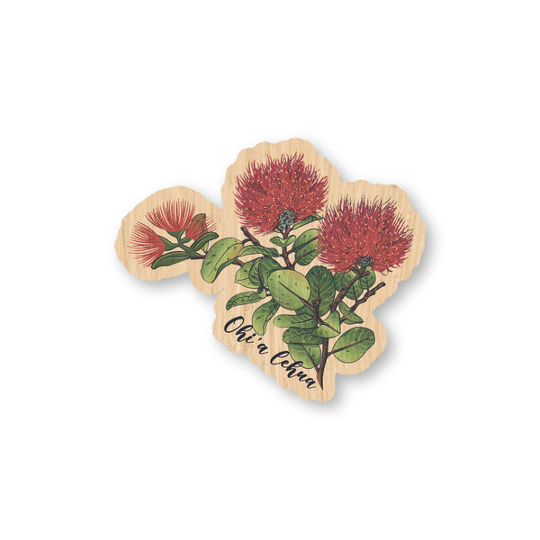 Ohi'a Lehua