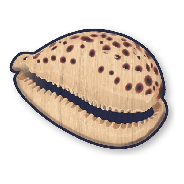 Cowrie Shell