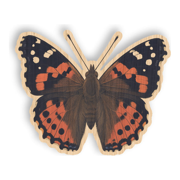 Kamehameha Butterfly