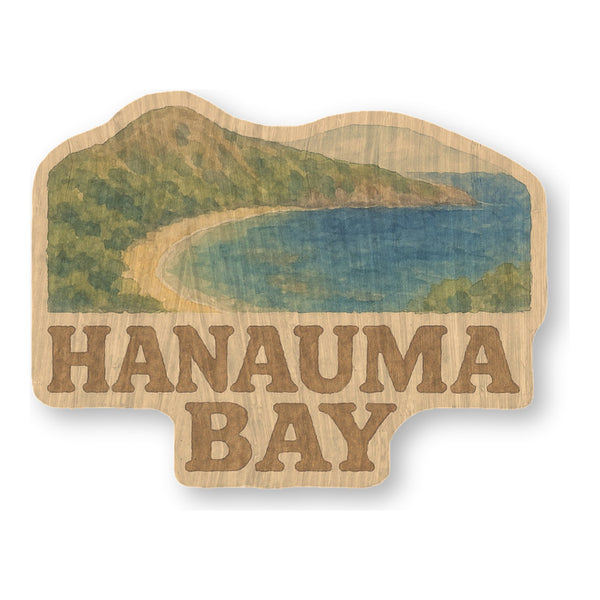Hanauma Bay Aerial