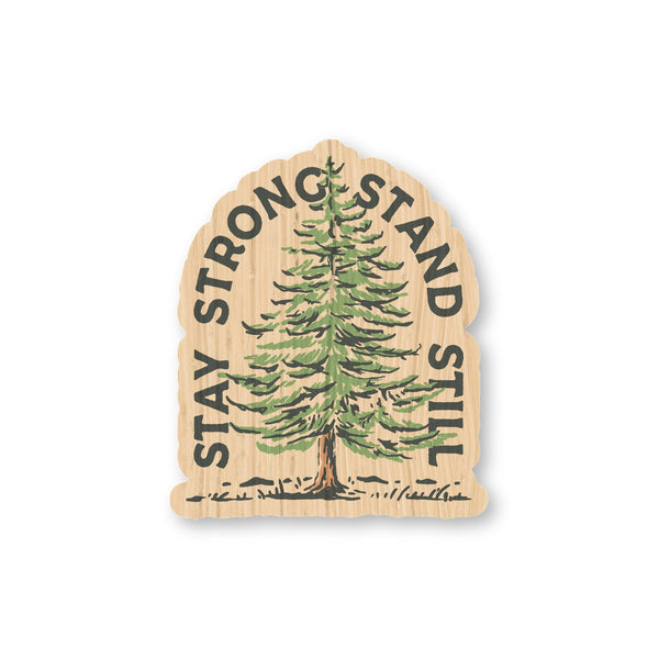 Stay Strong, Stand Still