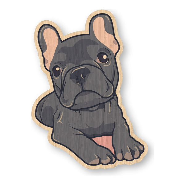 Frenchie Bulldog