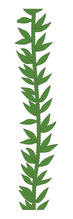 Ti-Leaf